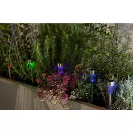 Garden by Sainsbury's Color Changing Solar Marker-Pack of 10954/6709